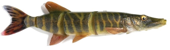 Gumeni Mamac Savage Gear 4D Line Thru Pike 25cm 110gr