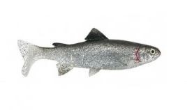 Gumeni Mamac Uni Cat Trout 15cm