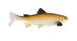 Gumeni Mamac Uni Cat Trout 15cm