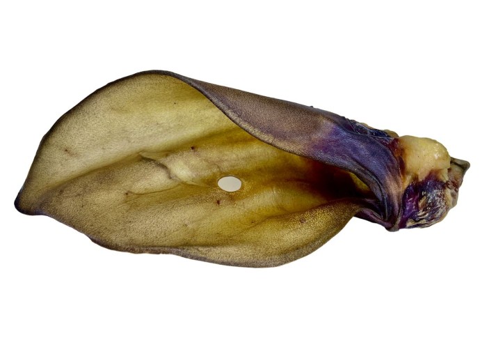 Hovädzie Ucho So Záuškom LK Baits Pet 1ks, 60g