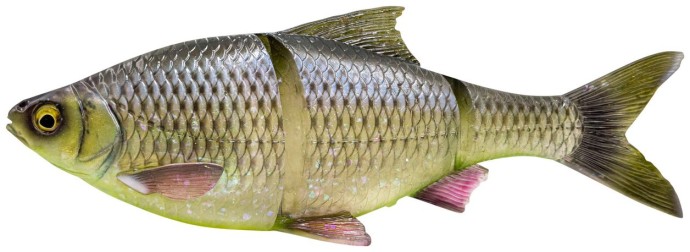 Imitacija Bodorke Savage Gear 3D Line Thru Roach