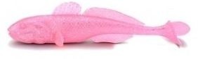 Imitacija peša Iron Claw Gobody 9cm