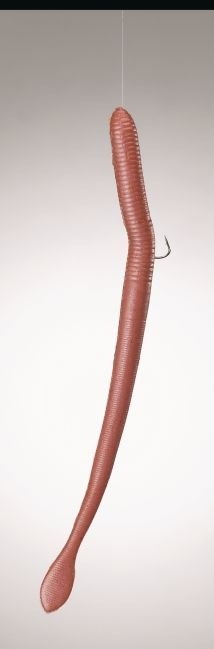 Imitacija Rousnice Berkley Gulp! 15cm 10kom