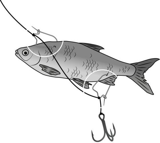 Klip za crve Black Cat Baitclips