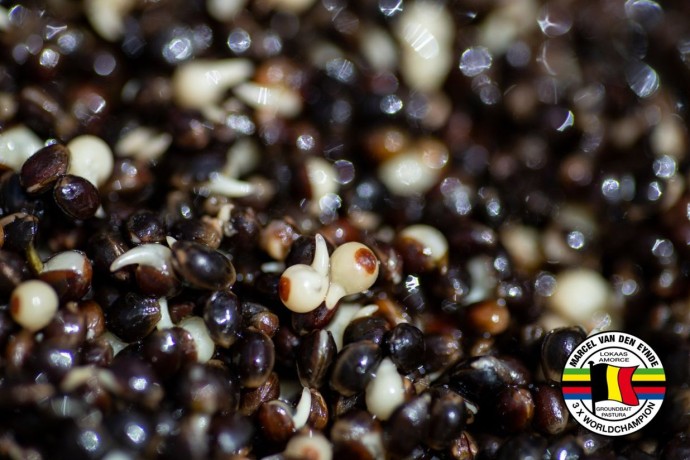 Kuhana Konoplja MVDE Slaný Karamel 3kg