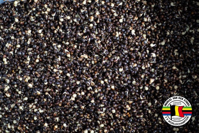 Kuhana Konoplja MVDE Slaný Karamel 3kg