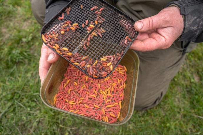 Kutija Korum Maggot Tub And Riddle - 2PT/1,2l
