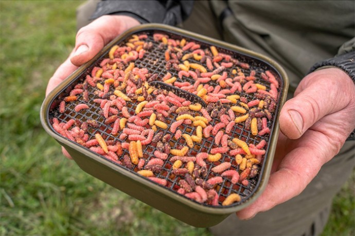 Kutija Korum Maggot Tub And Riddle - 2PT/1,2l