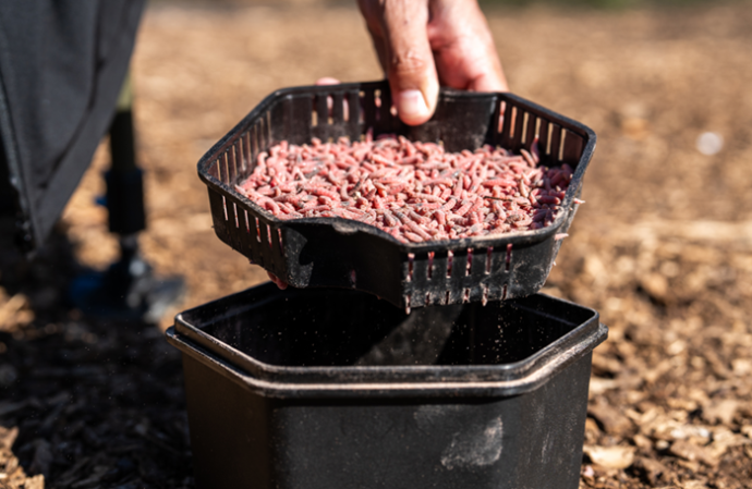 Kutija za crve Zebco Secure-Lock Bait Box And Sieve 2L
