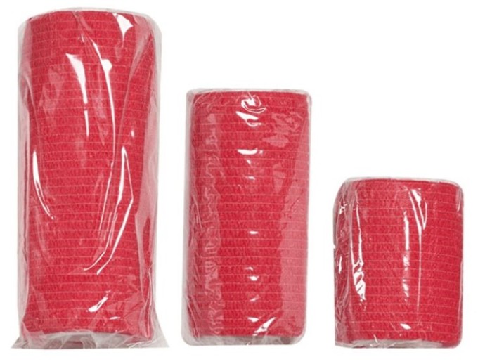 Lékárnička Survival First Aid Kit Pet