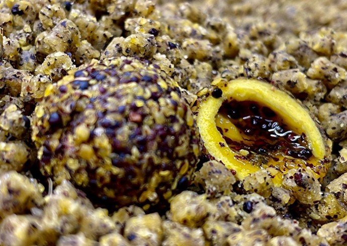 Mamac LK Baits Nutrigo FEED-EX 800gr 20mm