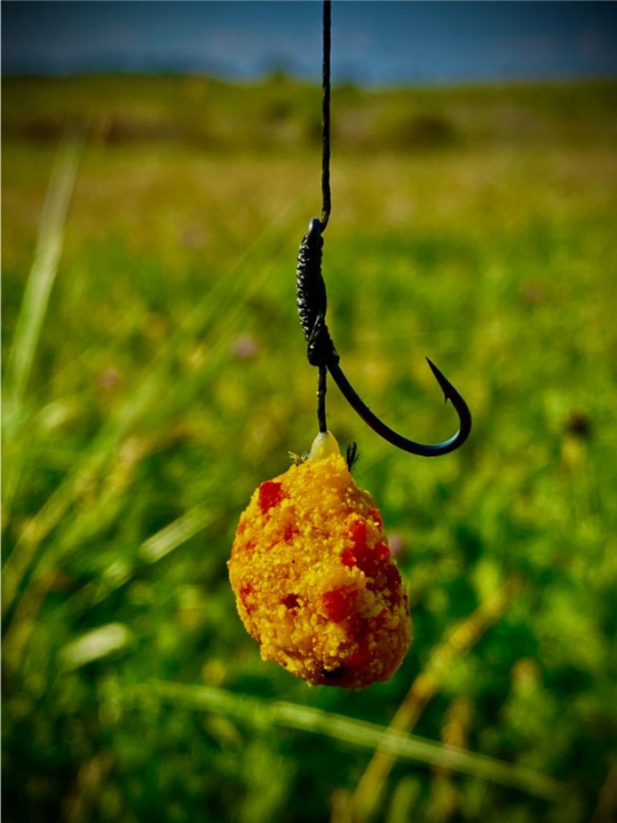 Mamac u preljevu LK Baits CUC! RAISIN Exotic 50g