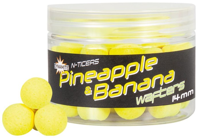 Mamci i atraktori Dynamite Baits N-Ticers