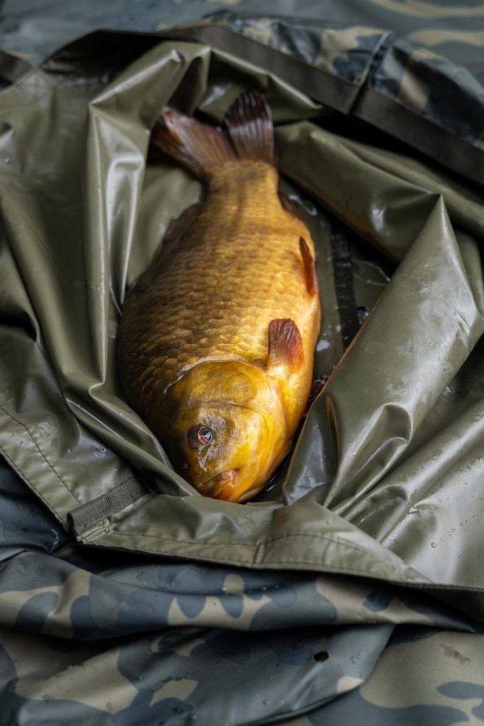 Mobilni set za njegu ribe Korum Camo Fishcare Set