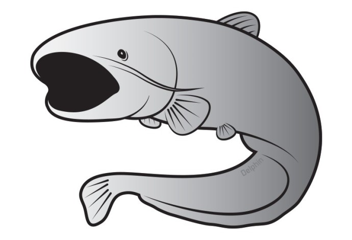 Naljepnica Delphin Silver Som