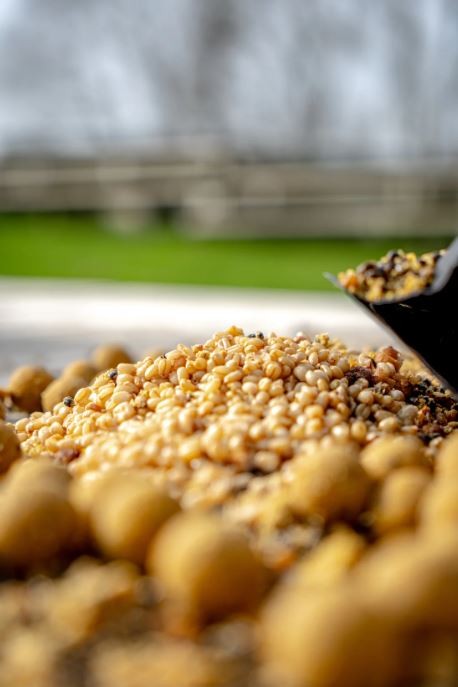Navlažena Primama KWO Scopex Crunch 5kg
