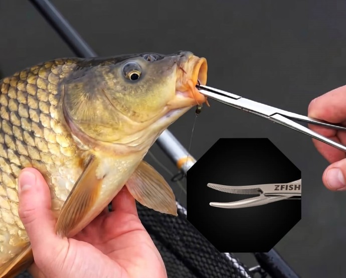Pean ZFish Ravni Premium Quality