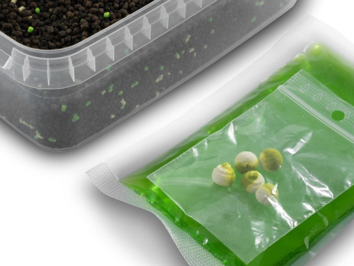 Pelete Delphin Pellet Box Reaxe Ready&Go 400gr