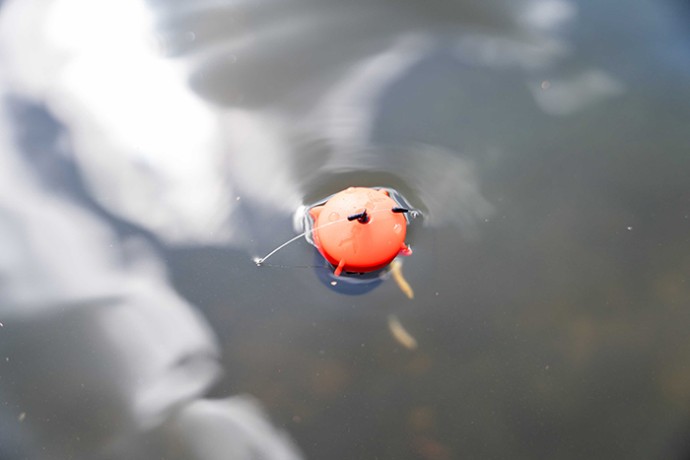 Plovuća Hranilica Korum Floating Feeder