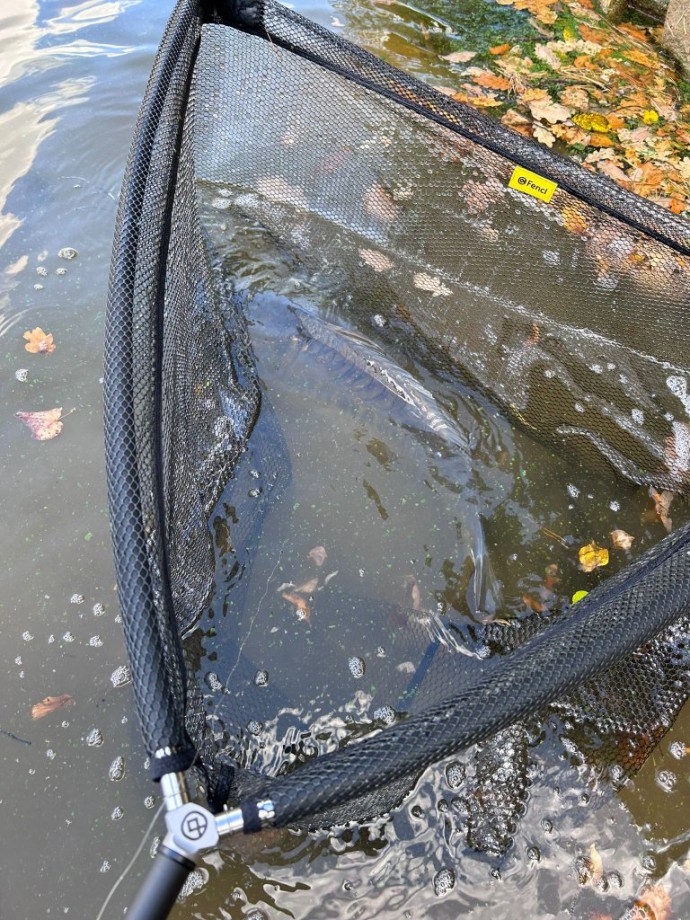 Plutajući Podmetač Fencl CARP CLASSIC 105cm/2m - Gumirana mreža