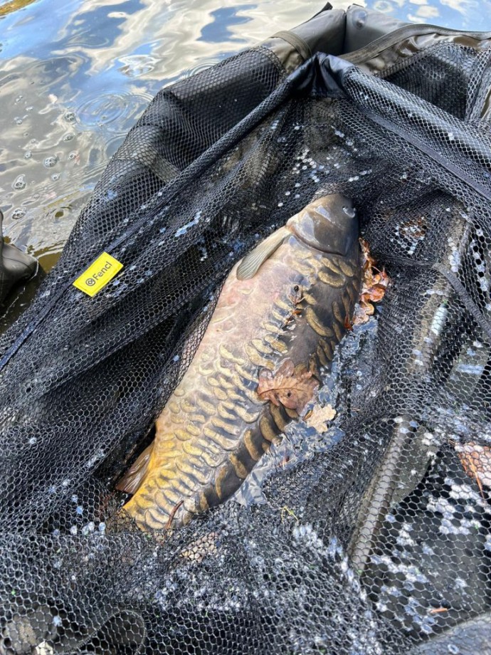 Plutajući Podmetač Fencl CARP CLASSIC 105cm/2m - Gumirana mreža