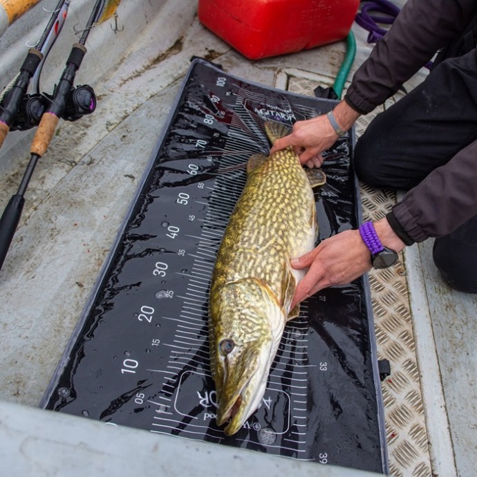 Podloga Giants Fishing Agitator Compact Roll Mat