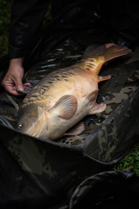 Podloška Nash Carp Care Pop Up Mat Camo