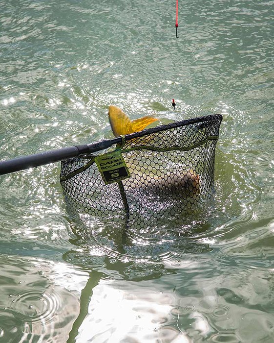 Podmetač Glava Matrix Carp Scoop Landing Net