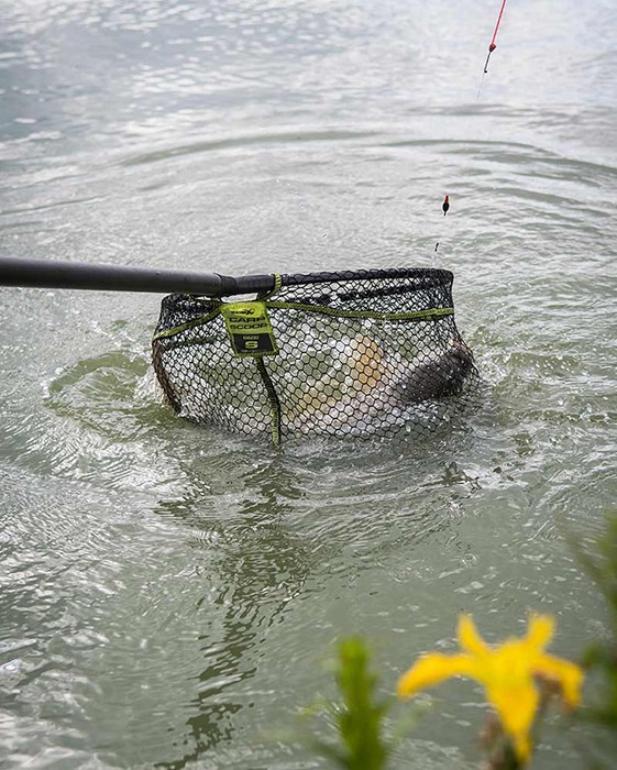Podmetač Glava Matrix Carp Scoop Landing Net