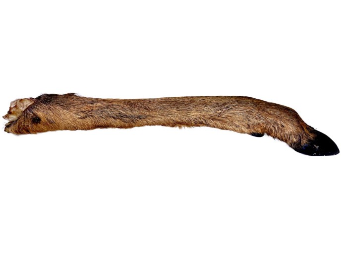 Poslastica LK Baits Pet Sušena Srneća Noga 80g