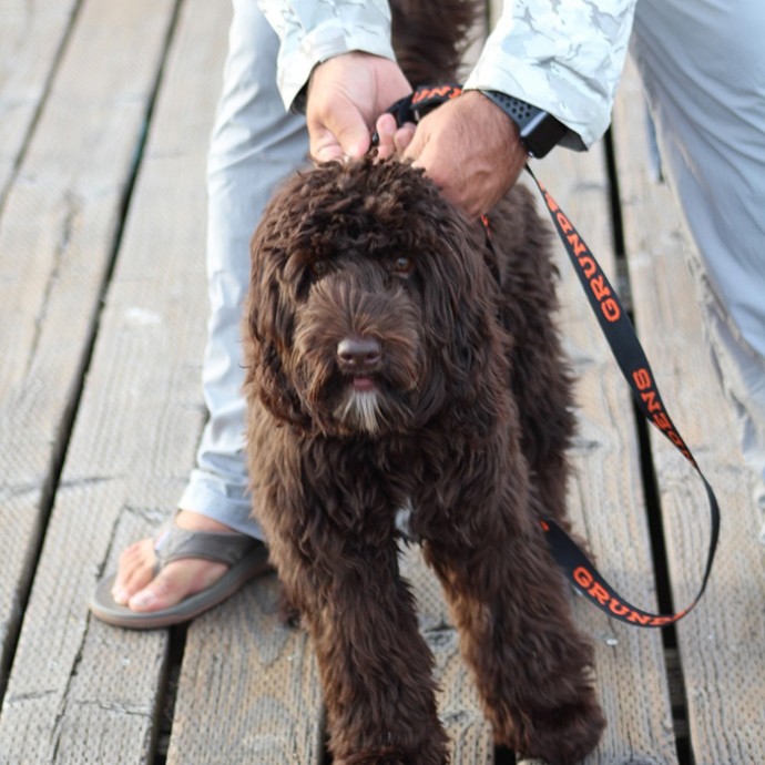 Povodac za psa Grundéns Dog Leash