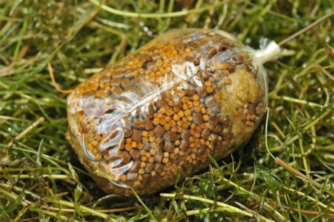 PVA Vrećice Korda Solidz PVA Bag System