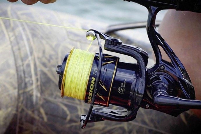 Rola Black Cat Black Passion FD 50 Akcija 1+1
