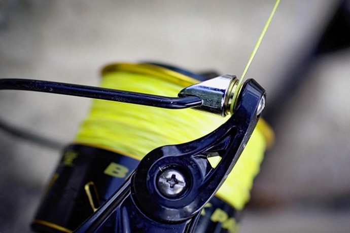 Rola Black Cat Black Passion FD 50 Akcija 1+1