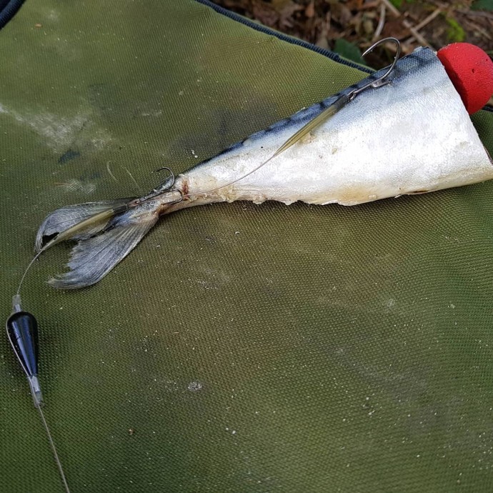 Set Držača Mamaca Zebco DB Series Deadbait Pop Up Kit