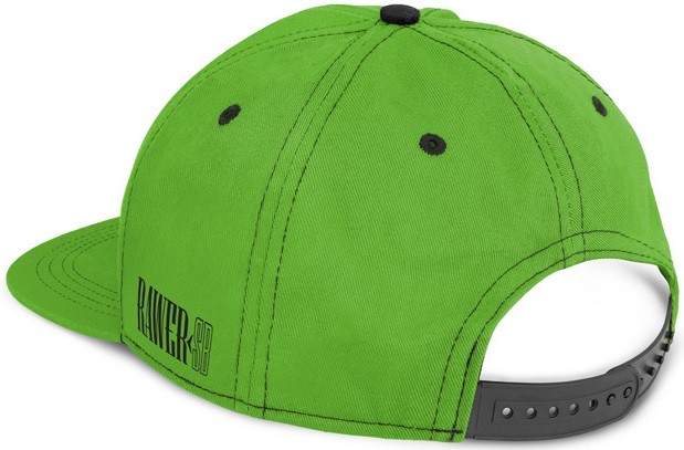 Šilterica Delphin RAWER Snapback