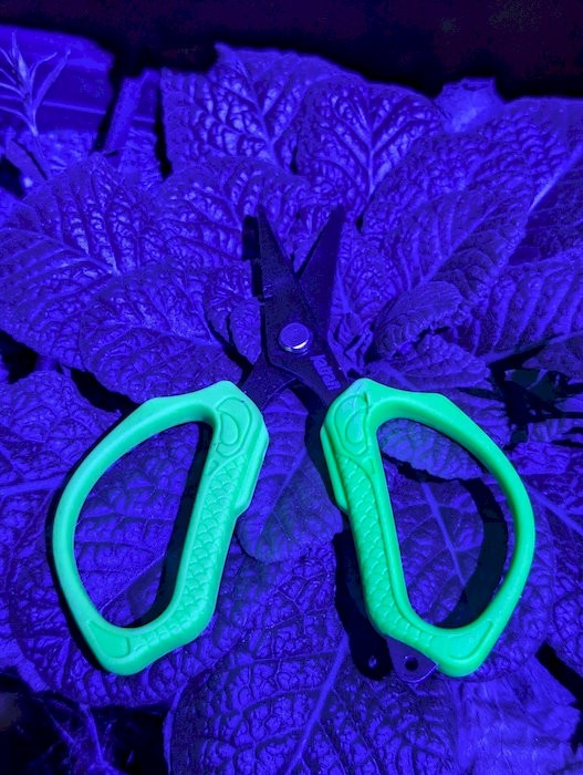 Škare Katran Titanove za Najlone i Upredenice Fluorescentne