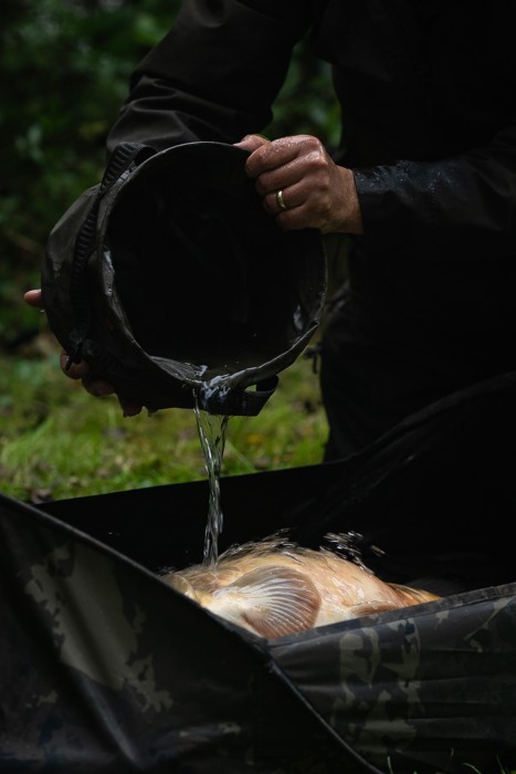 Sklopivo Vedro Nash Carp Care Collapsible Water Bucket