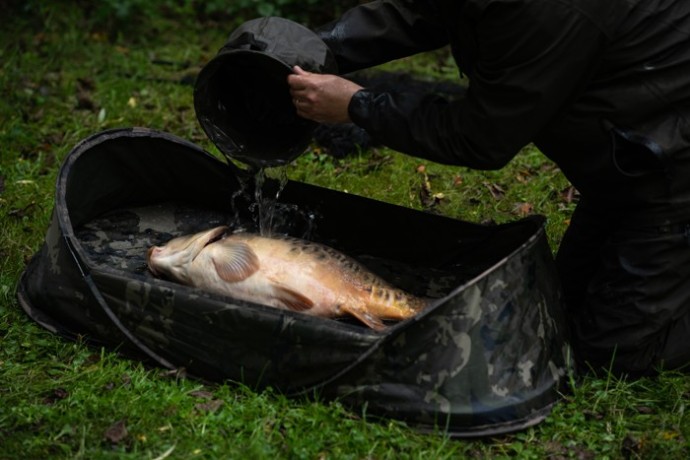 Sklopivo Vedro Nash Carp Care Collapsible Water Bucket