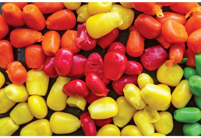 Slatki marinirani kukuruz Chytil Sweet Corn 120gr