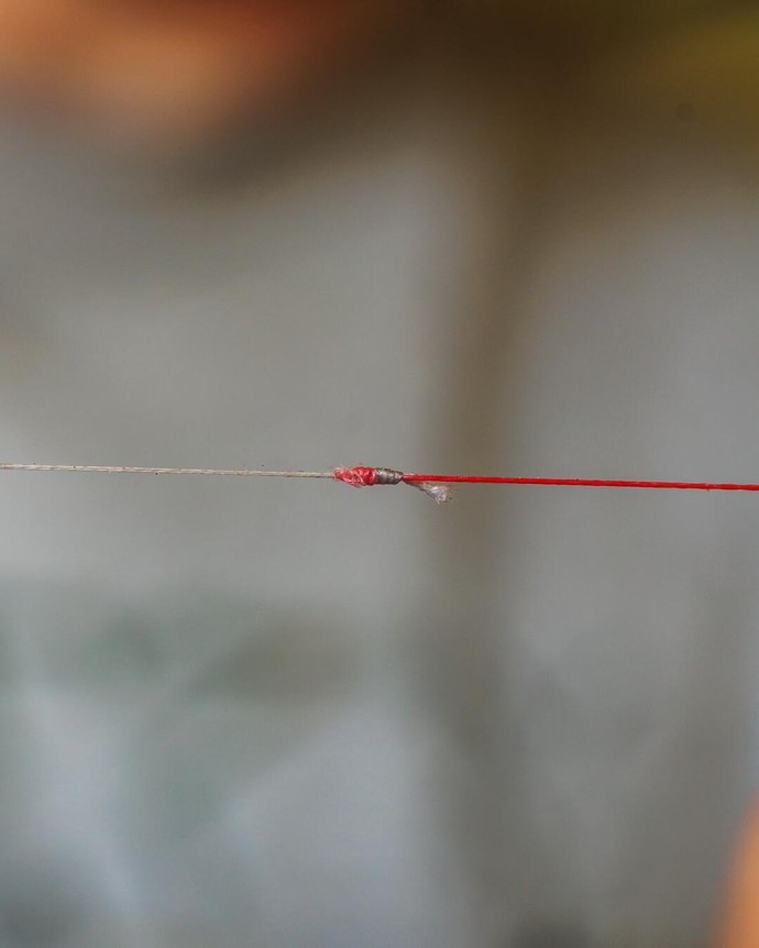 Šok upredenica Spomb Tapered Braided Leader 10m 50lb-20lb
