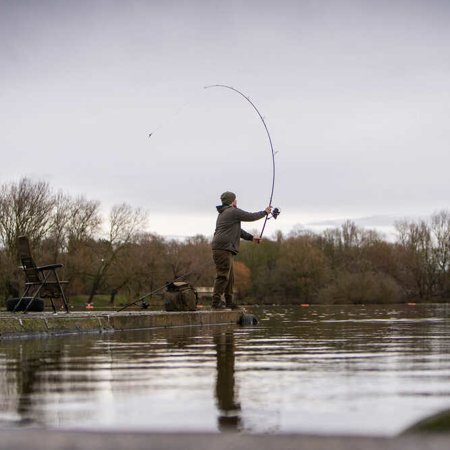 Štap Avid Carp React