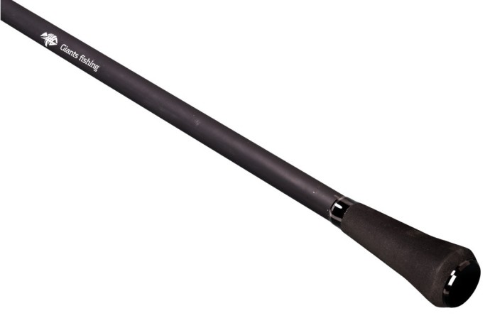 Štap Giants Fishing Deluxe BX Carp 2dijela