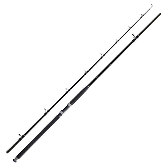 Štap Giants Fishing Deluxe Catfish 2,40m 400g