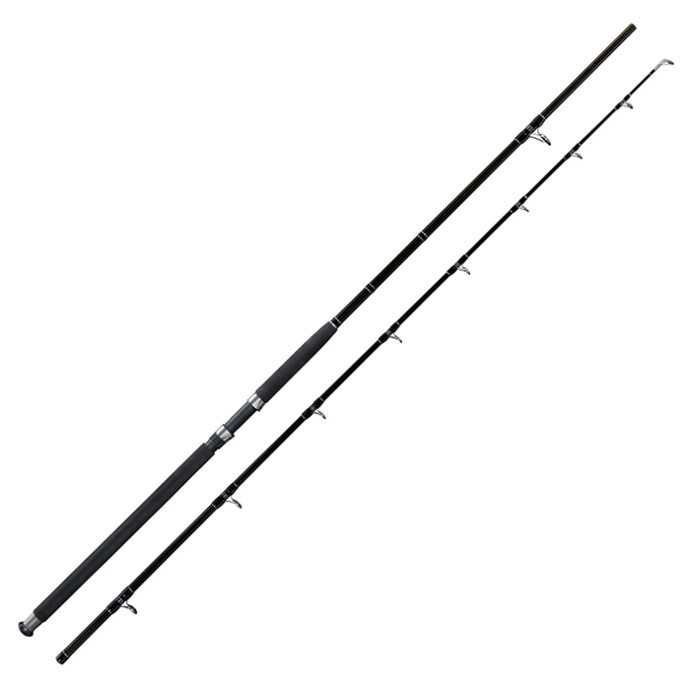 Štap Giants Fishing Deluxe Catfish 2,70m 500gr
