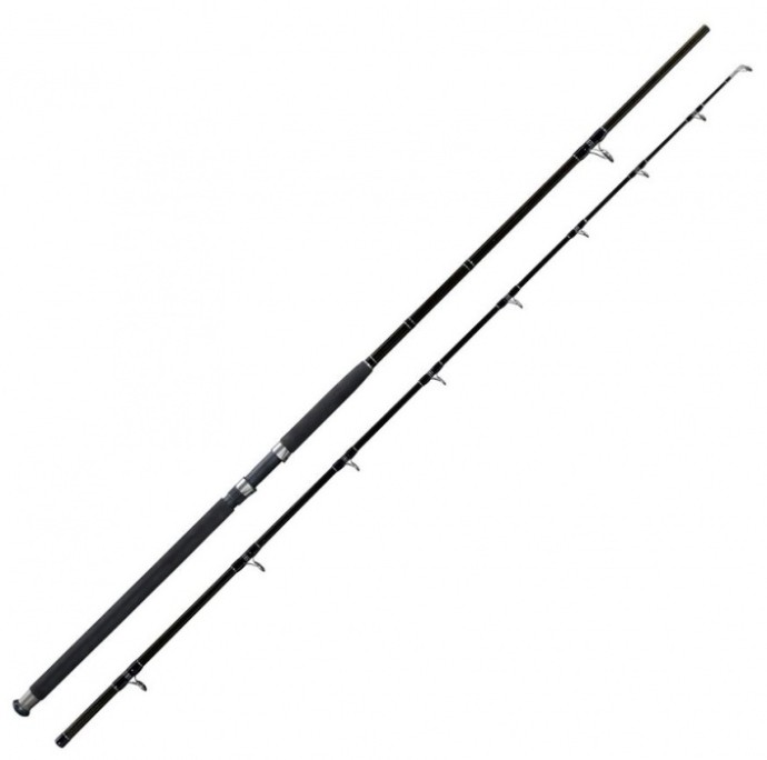 Štap Giants Fishing Deluxe Catfish 2,9m 500gr