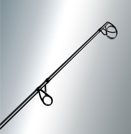 Štap Sportex Advancer CS-2 Carp 2dijela 3,66m 12ft