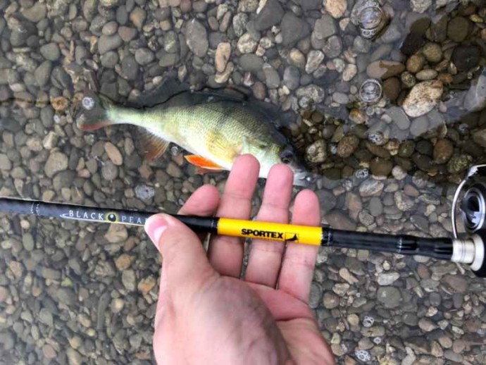 Štap Sportex Black Pearl GT-3 2-dijelni Baitcast