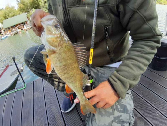 Štap Sportex Black Pearl GT-3 2-dijelni Baitcast
