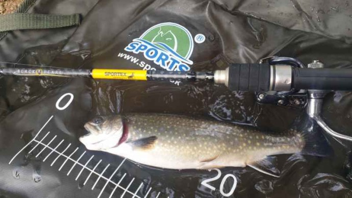 Štap Sportex Black Pearl GT-3 2-dijelni Baitcast